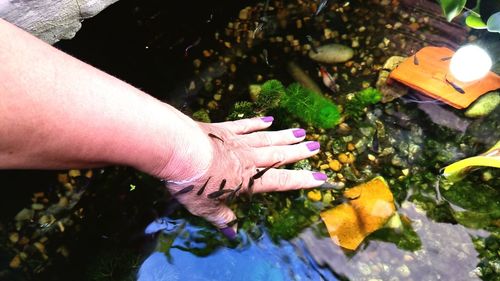 Midsection of people holding flowering plant