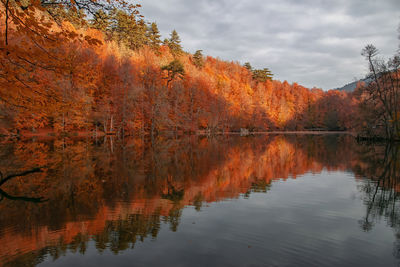 Reflection of trees in lake during autumn