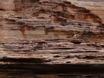 Full frame shot of rock formation
