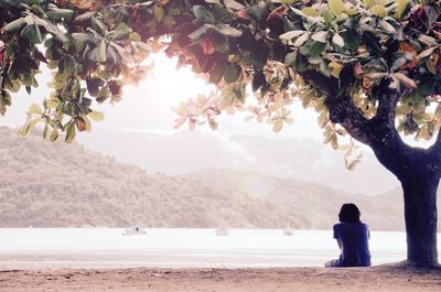 Rear view of woman standing on beach