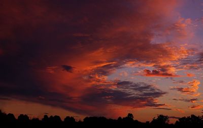 Silhouette of trees against cloudy sky