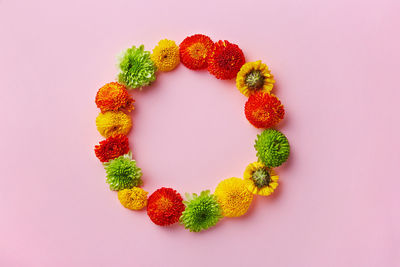 Close-up of fruits against white background
