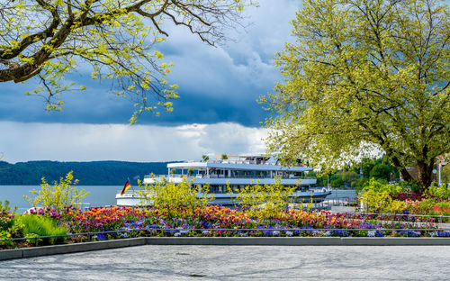 Flowering plants and trees by building against sky