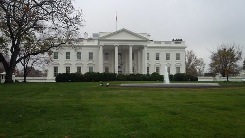 Lawn in front of building