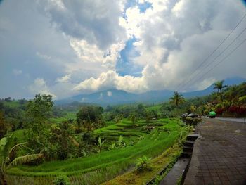 Scenic view of landscape against sky