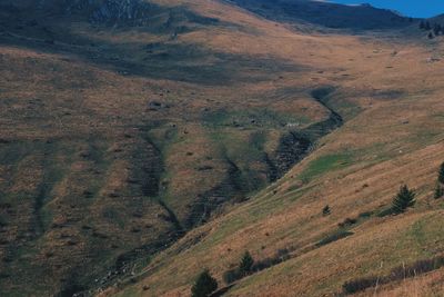 Full frame shot of agricultural landscape