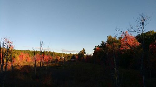 Scenic view of landscape against clear sky