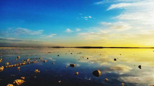 Ducks swimming in lake against sky during sunset