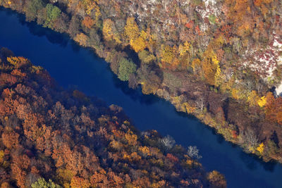 Aerial view of the autumn on the mrežnica river, croatia