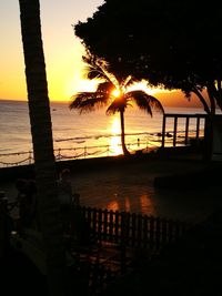 Silhouette of palm tree at beach during sunset