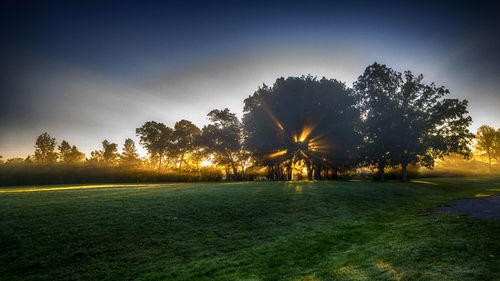 Trees on field against sky during sunset