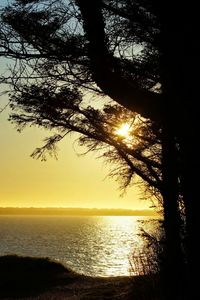 Scenic view of sea at sunset