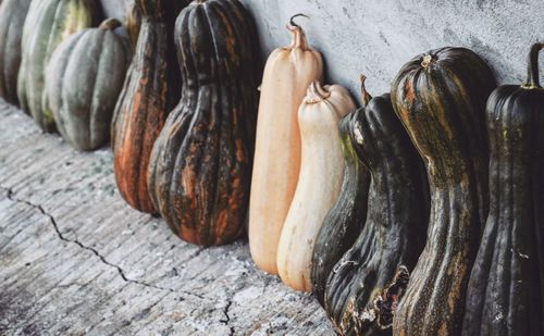High angle view of butternut squashes 