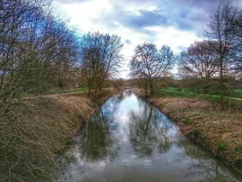 Reflection of trees in river