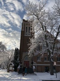 Low angle view of bare trees and buildings against sky