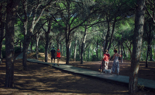 Rear view of people walking in forest