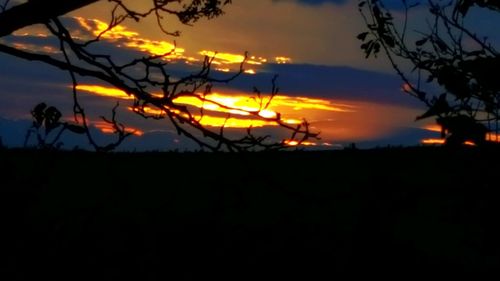 Silhouette trees on landscape against sky at sunset