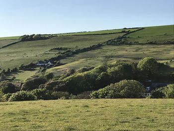 Scenic view of landscape against clear sky