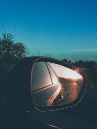 Reflection of trees on side-view mirror