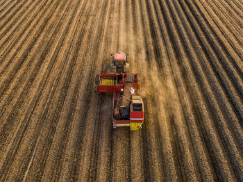 Combine harvester harvesting in farm