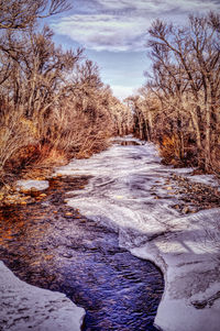 River passing through forest