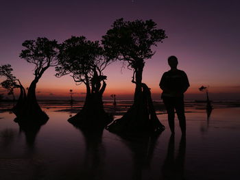 Silhouette young woman standing by trees in sea against sky during sunset