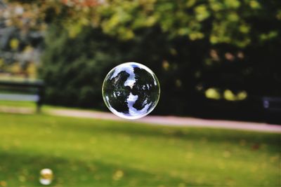 Close-up of bubbles