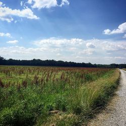 Scenic view of field against cloudy sky