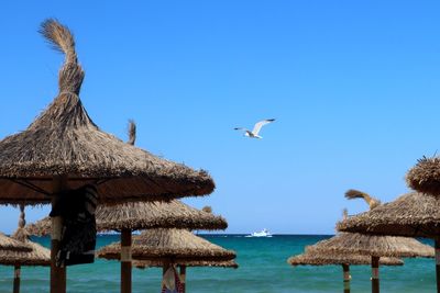 Seagulls flying over sea against clear blue sky