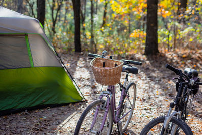 Bicycle parked by tree trunk in forest