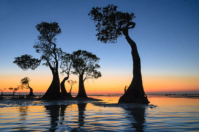 Silhouette trees by sea against sky during sunset