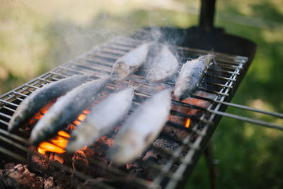 Close-up of fish on barbecue grill