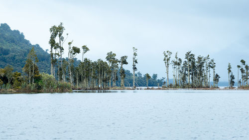 Panoramic view of lake against sky