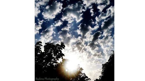 Low angle view of silhouette trees against sky