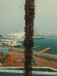 Close-up of wet shore