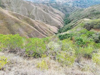 Scenic view of mountains