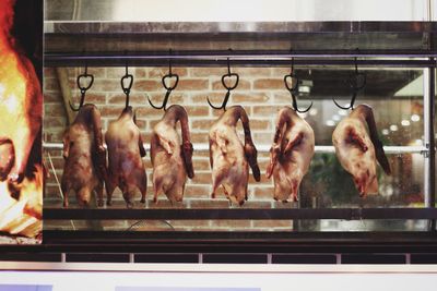 Duck meats hanging by hook on window display