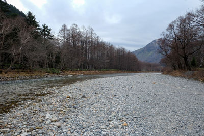 Surface level of road amidst trees against sky