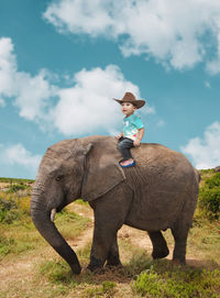 Portrait of boy riding elephant calf on field against sky