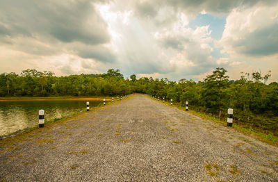 Panoramic view of road amidst trees against sky