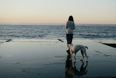 Rear view of woman standing at beach against sky during sunset