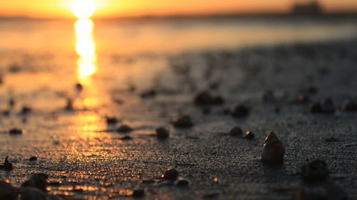 Close-up of pebbles on beach against sunset sky