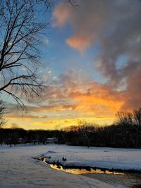 Snow covered plants against sky during sunset