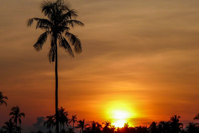 Silhouette palm trees against romantic sky at sunset