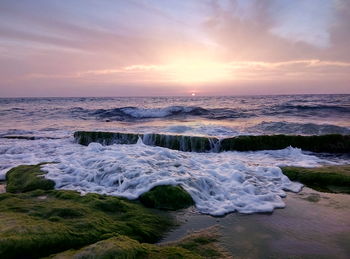 Scenic view of sea at sunset