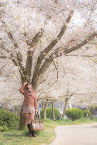 Full length of woman standing on cherry blossom