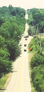 High angle view of road amidst plants and trees