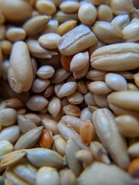 Full frame shot of seeds