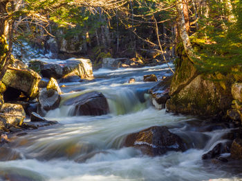 Stream flowing through rocks in forest