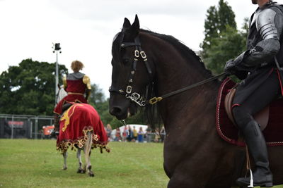 Rear view of man riding horse on field
